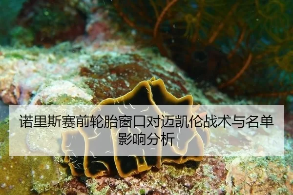 诺里斯赛前轮胎窗口对迈凯伦战术与名单影响分析